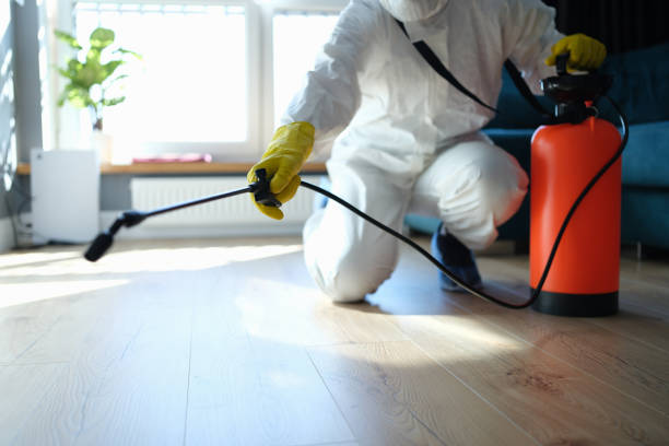 Reliable Biohazard Cleanup contractor in Inyokern, CA by Trauma Clean Pros